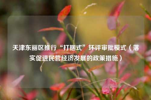 天津东丽区推行“打捆式”环评审批模式（落实促进民营经济发展的政策措施）  第1张