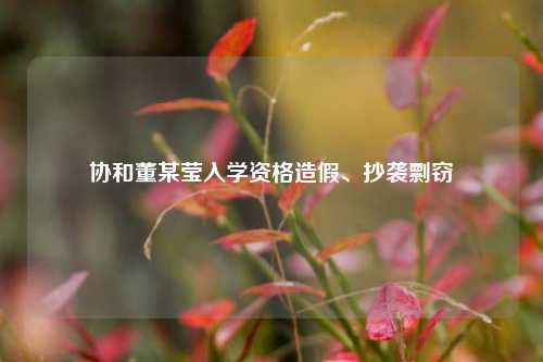 协和董某莹入学资格造假、抄袭剽窃  第1张