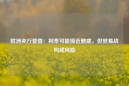 欧洲央行管委：利率可能接近触底	，但贸易战构成风险  第1张