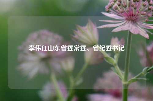 李伟任山东省委常委、省纪委书记  第1张