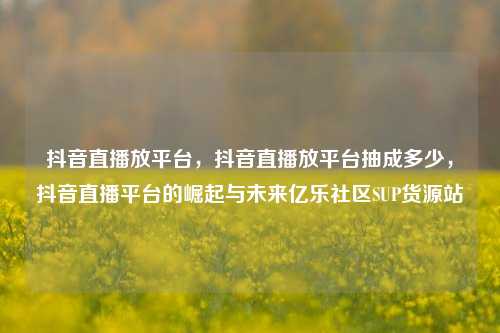 抖音直播放平台，抖音直播放平台抽成多少	，抖音直播平台的崛起与未来亿乐社区SUP货源站  第1张