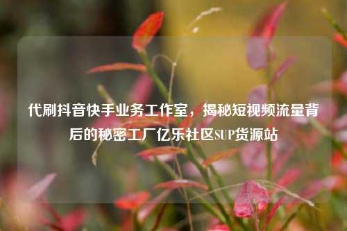 代刷抖音快手业务工作室	，揭秘短视频流量背后的秘密工厂亿乐社区SUP货源站  第1张