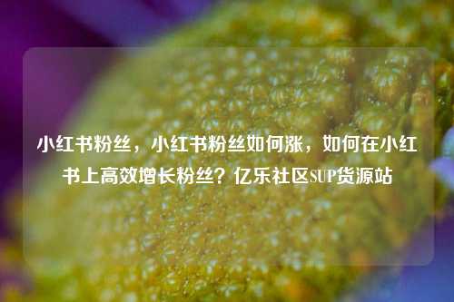 小红书粉丝，小红书粉丝如何涨	，如何在小红书上高效增长粉丝？亿乐社区SUP货源站  第1张