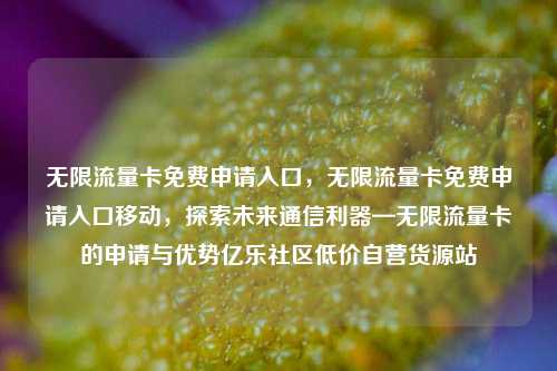 无限流量卡免费申请入口，无限流量卡免费申请入口移动	，探索未来通信利器—无限流量卡的申请与优势亿乐社区低价自营货源站  第1张