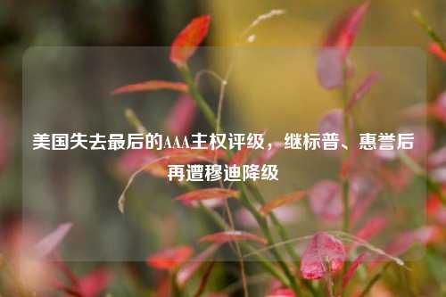 美国失去最后的AAA主权评级，继标普	、惠誉后再遭穆迪降级  第1张