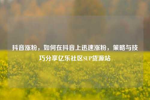 抖音涨粉，如何在抖音上迅速涨粉，策略与技巧分享亿乐社区SUP货源站  第1张