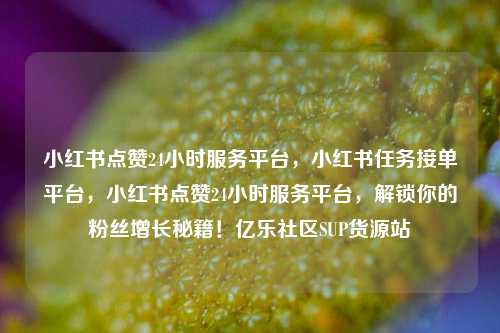 小红书点赞24小时服务平台	，小红书任务接单平台，小红书点赞24小时服务平台，解锁你的粉丝增长秘籍！亿乐社区SUP货源站  第1张