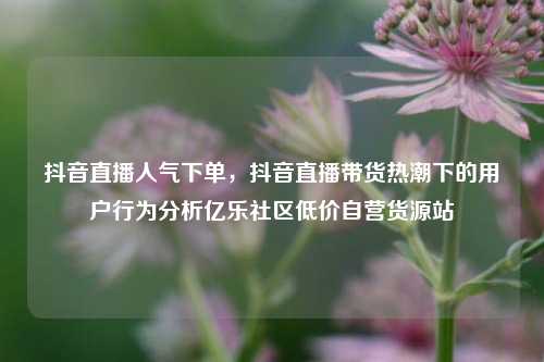 抖音直播人气下单，抖音直播带货热潮下的用户行为分析亿乐社区低价自营货源站  第1张