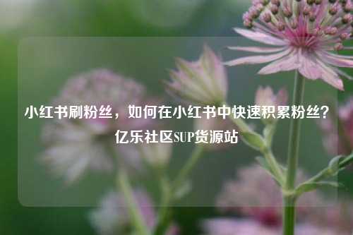 小红书刷粉丝，如何在小红书中快速积累粉丝？亿乐社区SUP货源站  第1张