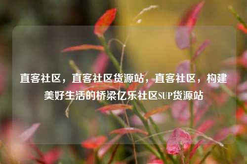 直客社区，直客社区货源站，直客社区	，构建美好生活的桥梁亿乐社区SUP货源站  第1张