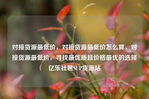 对接货源最低价	，对接货源最低价怎么算，对接货源最低价，寻找最优质且价格最优的选择亿乐社区SUP货源站  第1张