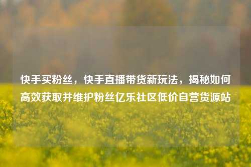 快手买粉丝	，快手直播带货新玩法，揭秘如何高效获取并维护粉丝亿乐社区低价自营货源站  第1张