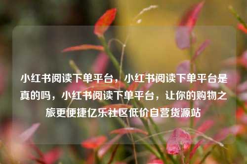 小红书阅读下单平台，小红书阅读下单平台是真的吗，小红书阅读下单平台	，让你的购物之旅更便捷亿乐社区低价自营货源站  第1张