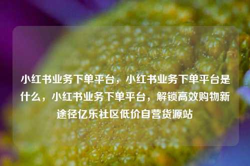 小红书业务下单平台，小红书业务下单平台是什么	，小红书业务下单平台，解锁高效购物新途径亿乐社区低价自营货源站  第1张