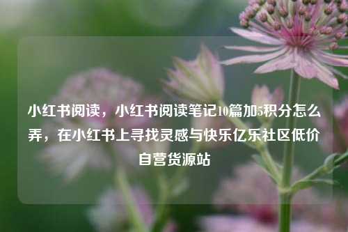 小红书阅读，小红书阅读笔记10篇加5积分怎么弄	，在小红书上寻找灵感与快乐亿乐社区低价自营货源站  第1张