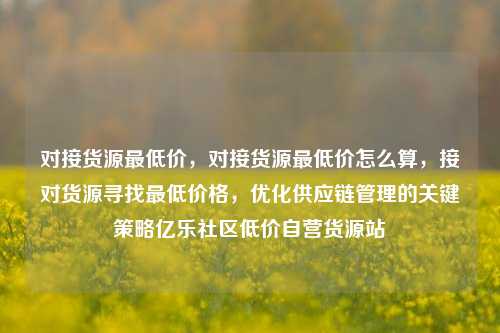 对接货源最低价，对接货源最低价怎么算	，接对货源寻找最低价格，优化供应链管理的关键策略亿乐社区低价自营货源站  第1张