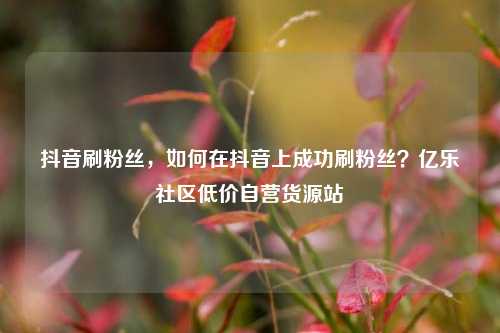 抖音刷粉丝	，如何在抖音上成功刷粉丝？亿乐社区低价自营货源站  第1张
