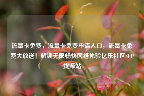 流量卡免费，流量卡免费申请入口，流量卡免费大放送！解锁无限畅快网络体验亿乐社区SUP货源站  第1张