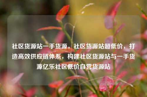 社区货源站一手货源，社区货源站超低价	，打造高效供应链体系，构建社区货源站与一手货源亿乐社区低价自营货源站  第1张
