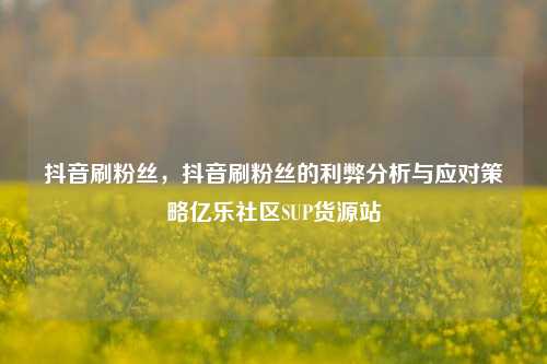 抖音刷粉丝，抖音刷粉丝的利弊分析与应对策略亿乐社区SUP货源站  第1张