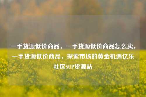 一手货源低价商品，一手货源低价商品怎么卖	，一手货源低价商品，探索市场的黄金机遇亿乐社区SUP货源站  第1张