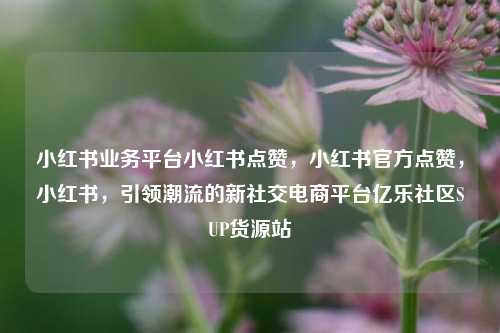小红书业务平台小红书点赞，小红书官方点赞	，小红书，引领潮流的新社交电商平台亿乐社区SUP货源站  第1张
