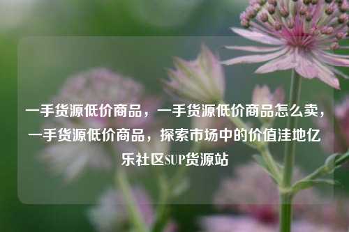 一手货源低价商品，一手货源低价商品怎么卖	，一手货源低价商品，探索市场中的价值洼地亿乐社区SUP货源站  第1张