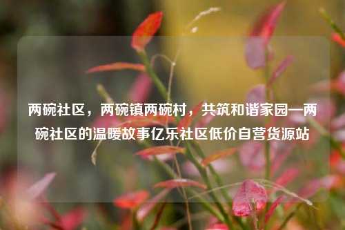 两碗社区，两碗镇两碗村	，共筑和谐家园—两碗社区的温暖故事亿乐社区低价自营货源站  第1张