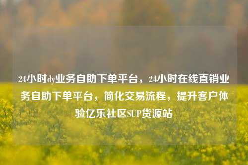 24小时dy业务自助下单平台，24小时在线直销业务自助下单平台，简化交易流程	，提升客户体验亿乐社区SUP货源站  第1张