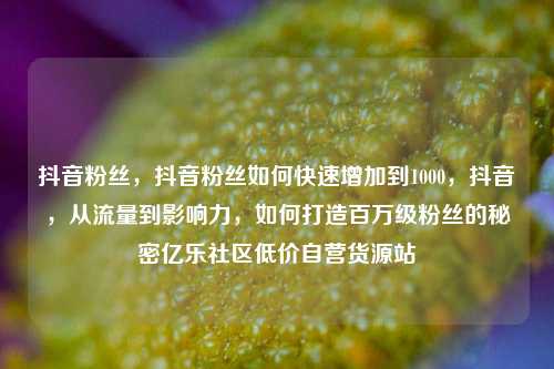 抖音粉丝	，抖音粉丝如何快速增加到1000，抖音，从流量到影响力	，如何打造百万级粉丝的秘密亿乐社区低价自营货源站  第1张