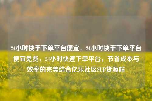 24小时快手下单平台便宜，24小时快手下单平台便宜免费，24小时快速下单平台	，节省成本与效率的完美结合亿乐社区SUP货源站  第1张
