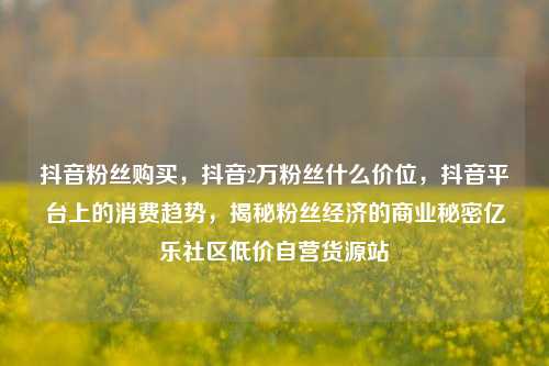 抖音粉丝购买，抖音2万粉丝什么价位	，抖音平台上的消费趋势，揭秘粉丝经济的商业秘密亿乐社区低价自营货源站  第1张