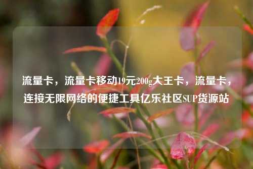 流量卡，流量卡移动19元200g大王卡，流量卡	，连接无限网络的便捷工具亿乐社区SUP货源站  第1张