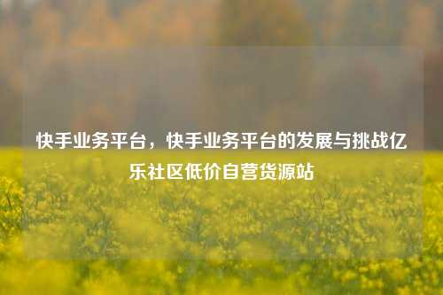 快手业务平台，快手业务平台的发展与挑战亿乐社区低价自营货源站  第1张