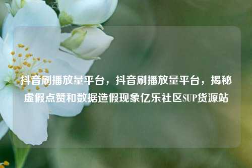 抖音刷播放量平台，抖音刷播放量平台	，揭秘虚假点赞和数据造假现象亿乐社区SUP货源站  第1张