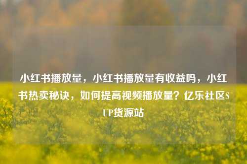 小红书播放量，小红书播放量有收益吗，小红书热卖秘诀	，如何提高视频播放量？亿乐社区SUP货源站  第1张