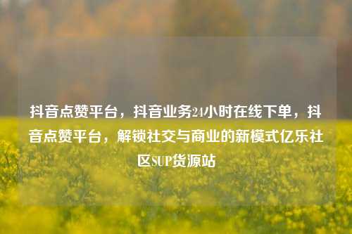 抖音点赞平台，抖音业务24小时在线下单	，抖音点赞平台，解锁社交与商业的新模式亿乐社区SUP货源站  第1张