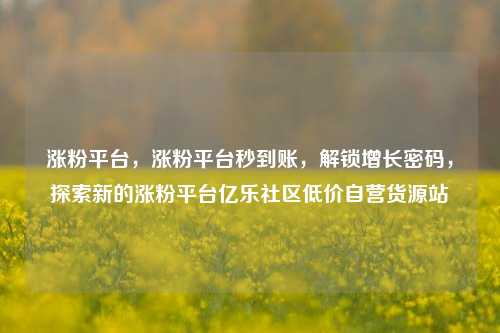 涨粉平台，涨粉平台秒到账	，解锁增长密码，探索新的涨粉平台亿乐社区低价自营货源站  第1张