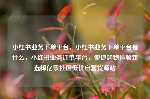 小红书业务下单平台，小红书业务下单平台是什么	，小红书业务订单平台，便捷购物体验新选择亿乐社区低价自营货源站  第1张