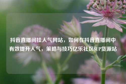 抖音直播间挂人气网站，如何在抖音直播间中有效提升人气，策略与技巧亿乐社区SUP货源站  第1张