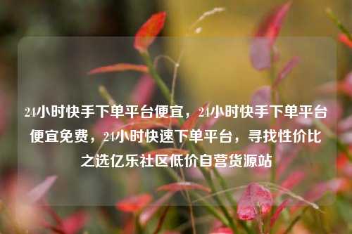 24小时快手下单平台便宜，24小时快手下单平台便宜免费，24小时快速下单平台	，寻找性价比之选亿乐社区低价自营货源站  第1张