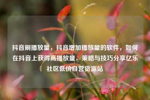 抖音刷播放量，抖音增加播放量的软件	，如何在抖音上获得高播放量，策略与技巧分享亿乐社区低价自营货源站  第1张