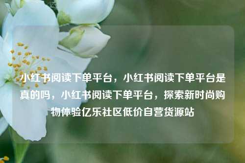 小红书阅读下单平台，小红书阅读下单平台是真的吗，小红书阅读下单平台，探索新时尚购物体验亿乐社区低价自营货源站  第1张