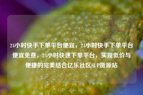 24小时快手下单平台便宜，24小时快手下单平台便宜免费	，24小时快速下单平台，实现低价与便捷的完美结合亿乐社区SUP货源站  第1张