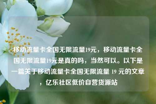 移动流量卡全国无限流量19元	，移动流量卡全国无限流量19元是真的吗，当然可以。以下是一篇关于移动流量卡全国无限流量 19 元的文章，亿乐社区低价自营货源站  第1张