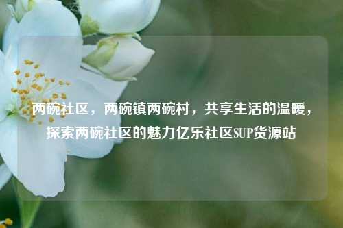 两碗社区，两碗镇两碗村，共享生活的温暖	，探索两碗社区的魅力亿乐社区SUP货源站  第1张