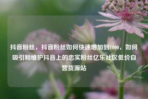 抖音粉丝	，抖音粉丝如何快速增加到1000，如何吸引和维护抖音上的忠实粉丝亿乐社区低价自营货源站  第1张