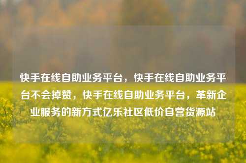 快手在线自助业务平台，快手在线自助业务平台不会掉赞	，快手在线自助业务平台，革新企业服务的新方式亿乐社区低价自营货源站  第1张