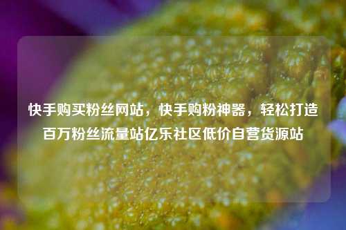 快手购买粉丝网站	，快手购粉神器，轻松打造百万粉丝流量站亿乐社区低价自营货源站  第1张