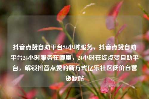 抖音点赞自助平台24小时服务，抖音点赞自助平台24小时服务在哪里	，24小时在线点赞自助平台，解锁抖音点赞的新方式亿乐社区低价自营货源站  第1张